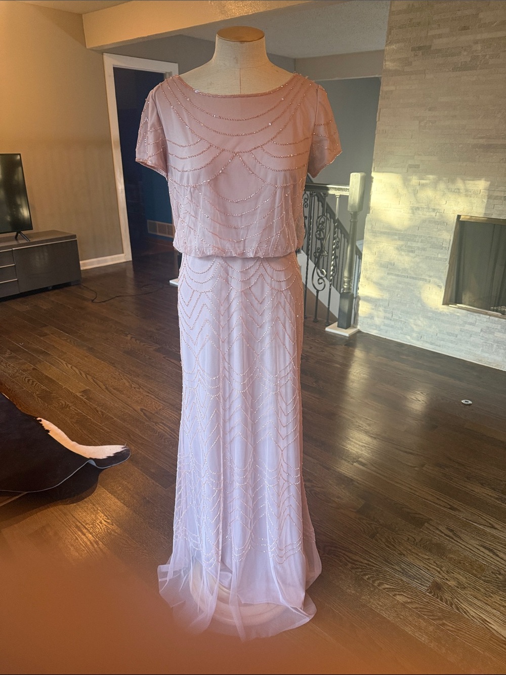 Adrianna Papell Blush Pink Beaded Maxi Dress